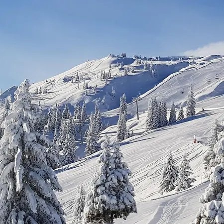 酒店 Gartenhotel Lenzenhof - Wildschoenau- Premiumcard Inclusive 3*