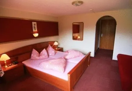 Hotel Lenzenhof 3*