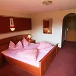 Hotel Lenzenhof 3*