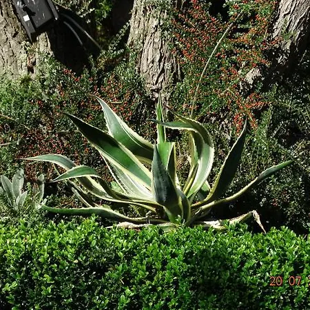 Gartenhotel Lenzenhof - Wildschoenau- Premiumcard Inclusive